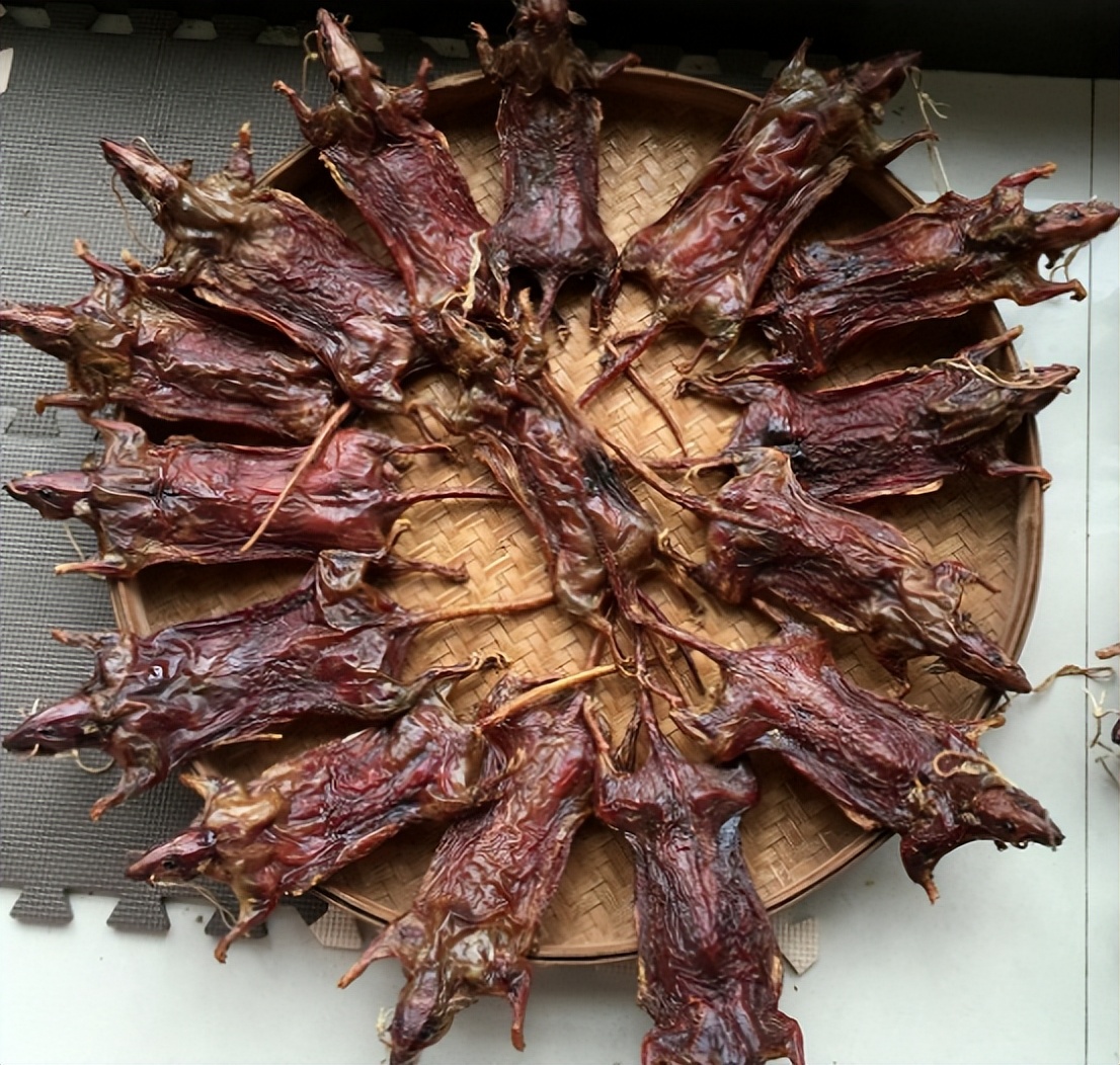 ​暗黑料理：鼠肉烹饪竟比鸭脖历史更悠久