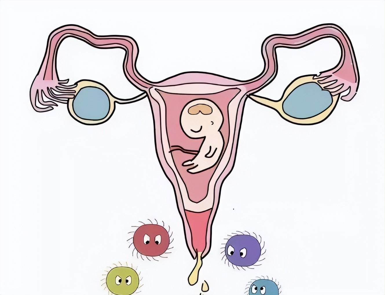 怀孕hpv阳性会影响胎儿吗,怀孕查出hpv阳性怎么办