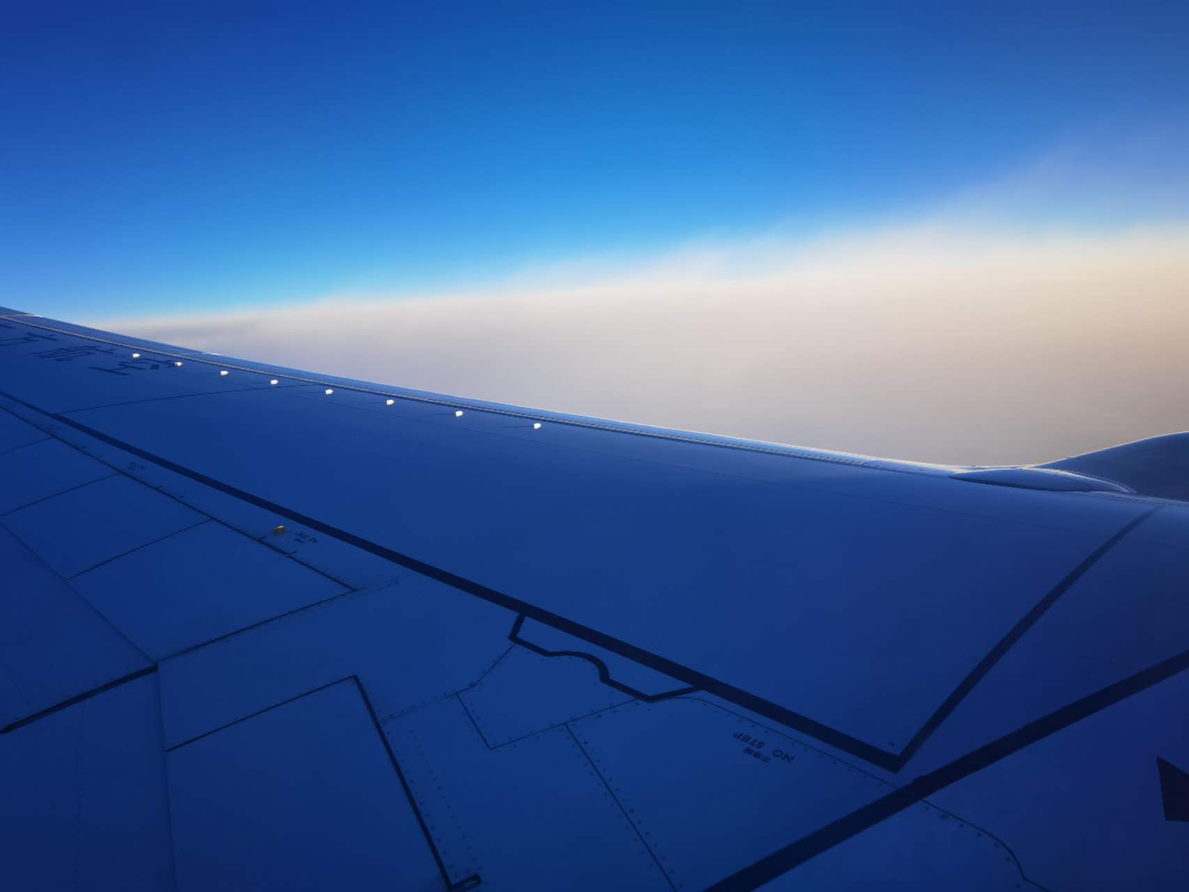 美国疫情放开之后的情况,疫情过后美国政策如何变化