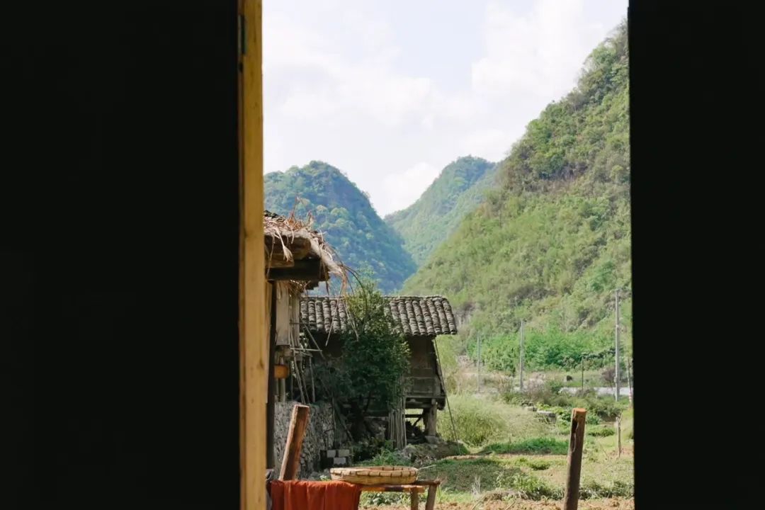 他在贵州租下200亩山谷，95后纷纷投奔：过不花钱的日子，很快乐