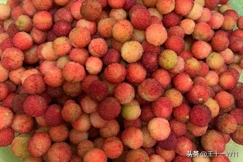 夏日必不可少的水果之一,夏日不可缺少的水果茶