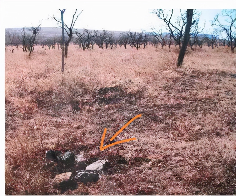 史前十大奇闻怪事,中国古代文物震惊