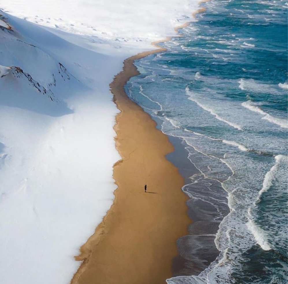 加蓬黑脸猩猩,加蓬长尾猴图片