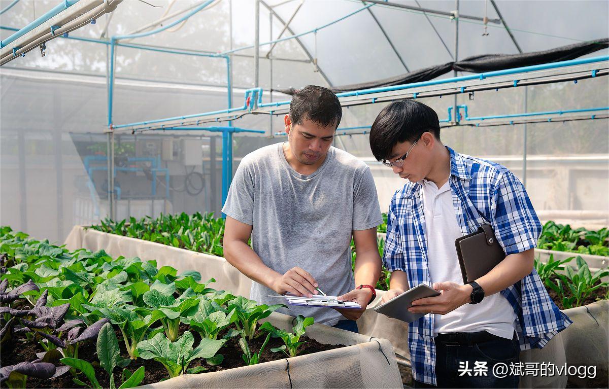 三农致富经解读,三农政策的启示