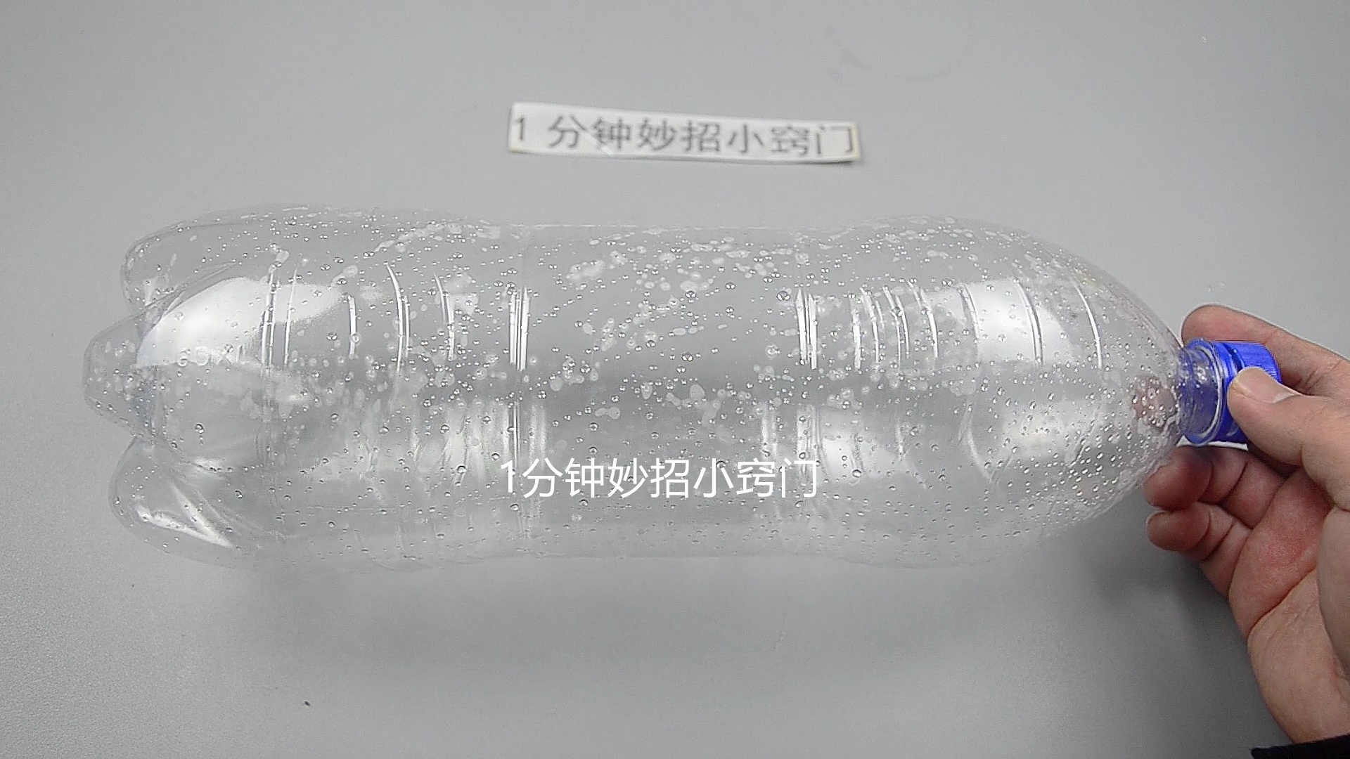 不用买老鼠药，只需要一个塑料瓶，老鼠来一只灭一只，安全又省事