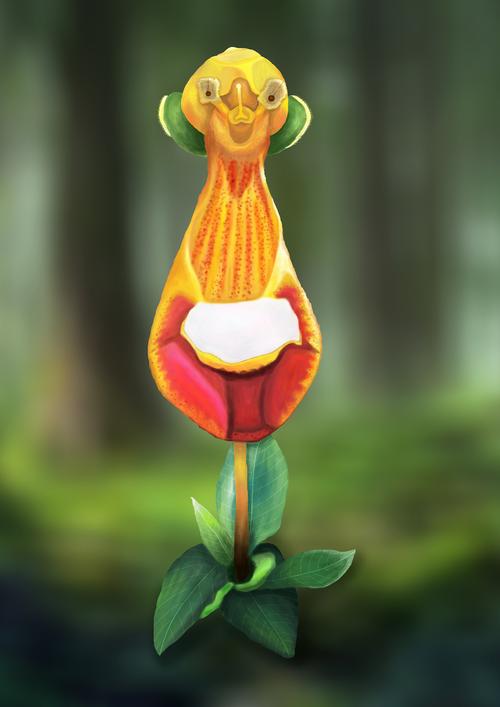 奇花异草有哪些都有什么特点,奇花异草大全罕见图文