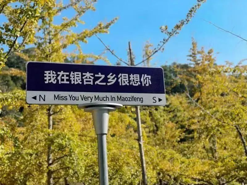 閲戠涔嬬害,閲戠鍗佹湀鍥藉簡涓鍋囨湡浣忓鏀荤暐