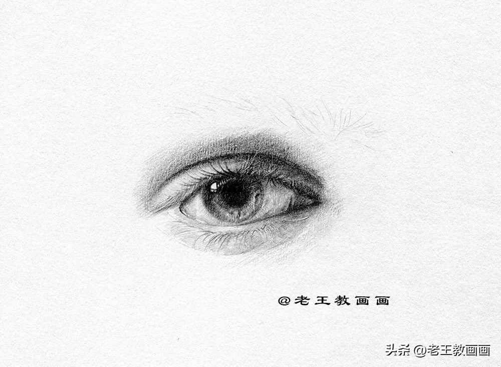 零基础如何画好素描,素描人物头像五官之眼睛结构