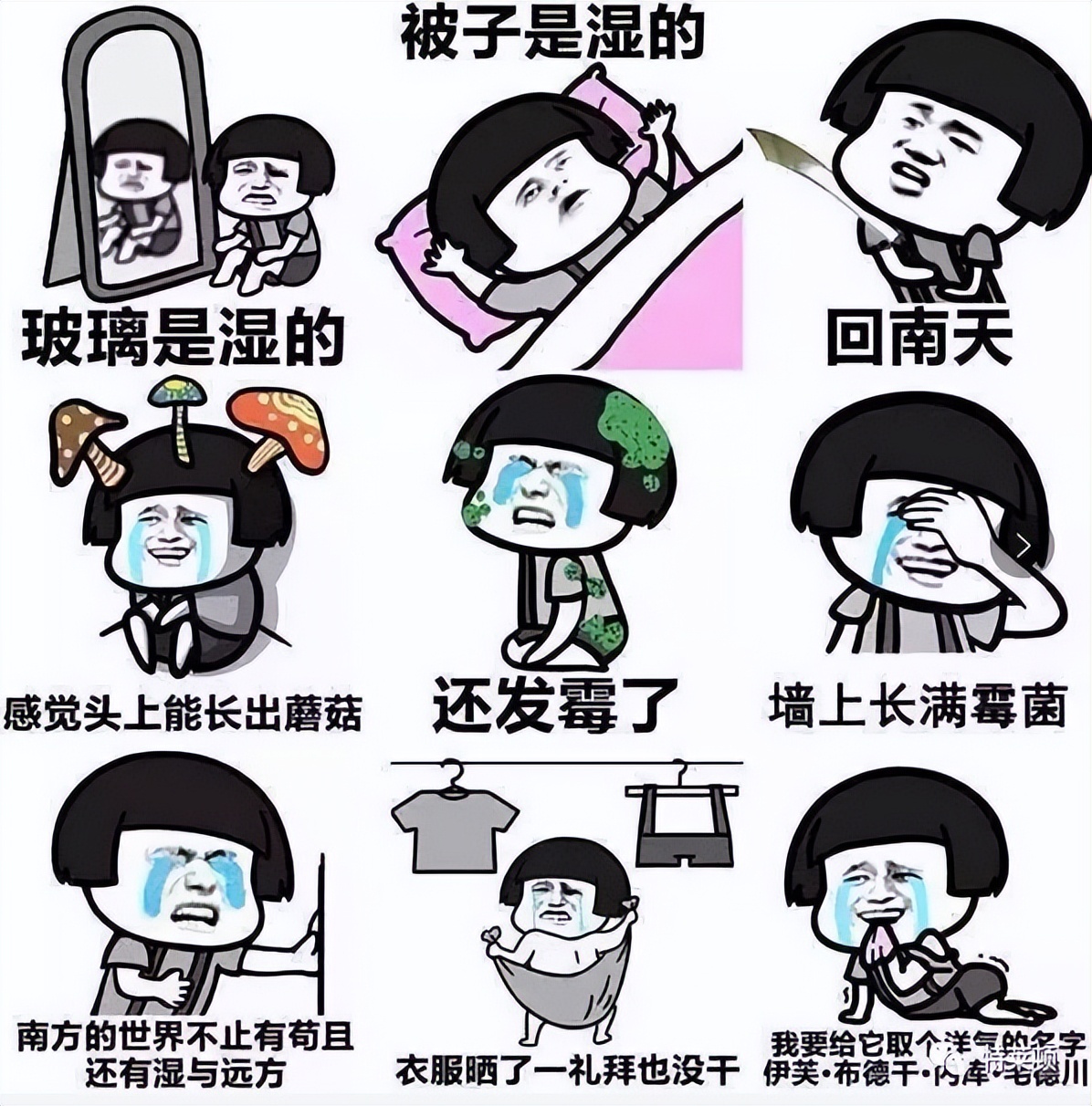 回南天和梅雨季哪个难受,回南天与梅雨天区别