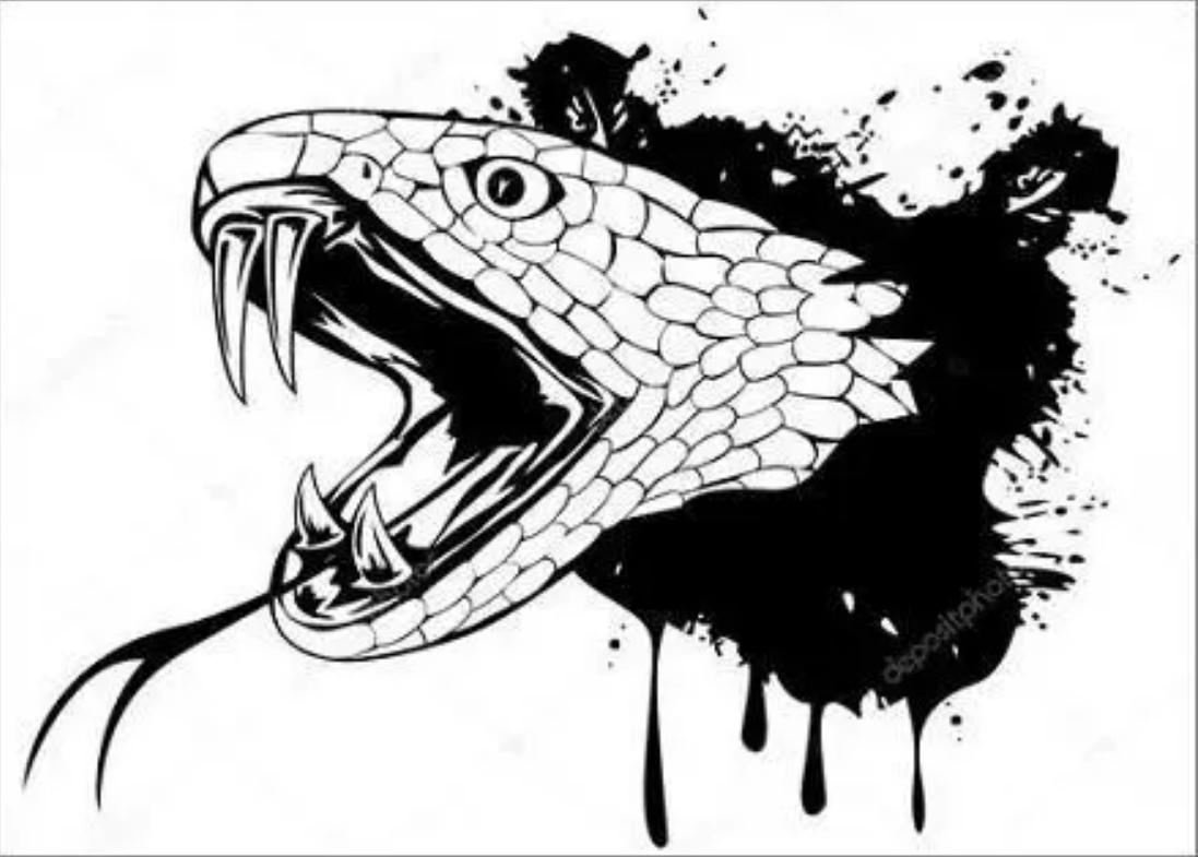 还敢随便杀蛇吗？被砍下的蛇头还能咬人，难道蛇死了还会*仇报**？