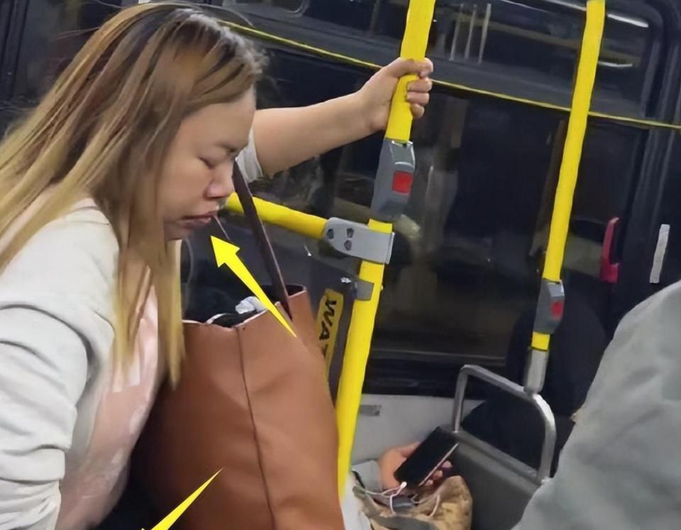 凤姐美国的生活,凤姐与美国男友