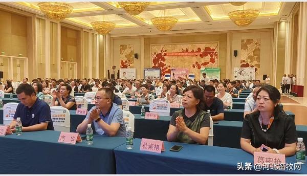 养猪技术交流讲座,养猪技术大会