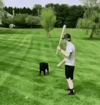 神回复头发白了,神回复脱发