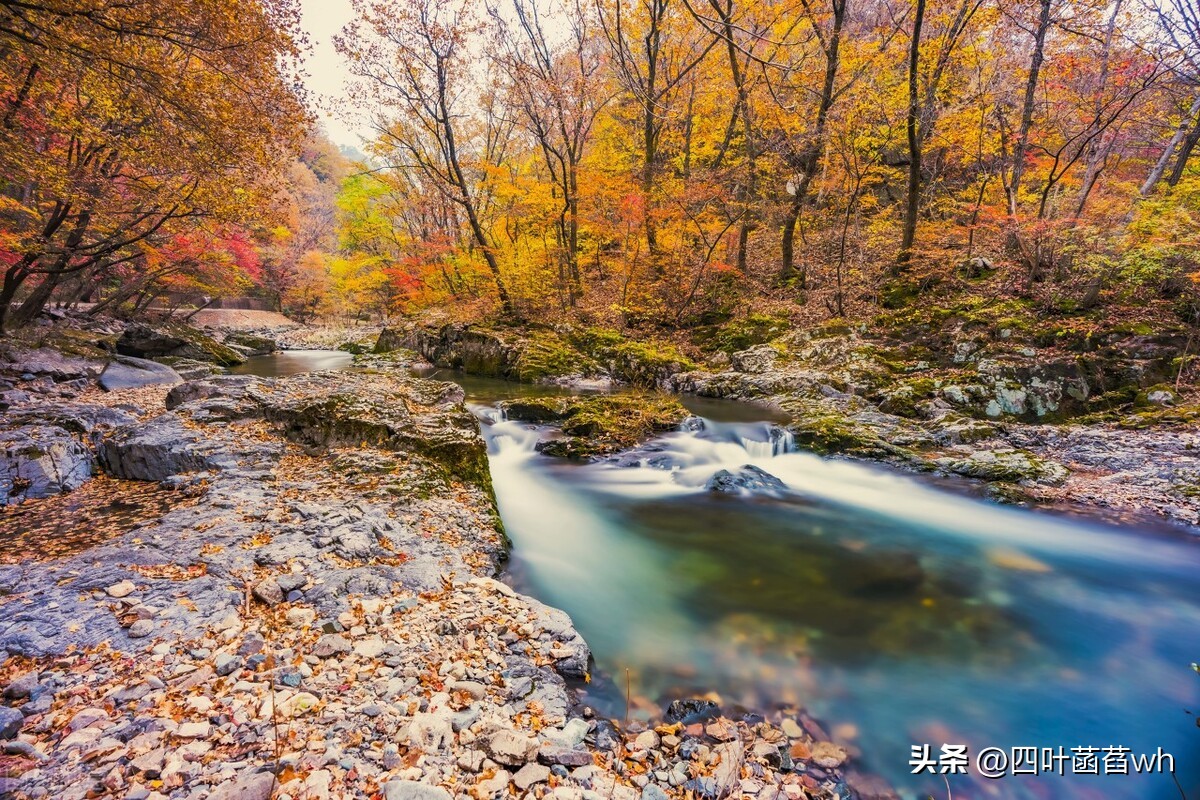 成年人结束关系的最好方法,如何彻底结束一段男女关系