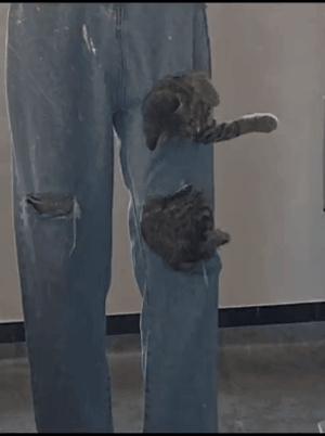 国庆开心一刻,迎国庆开心一刻