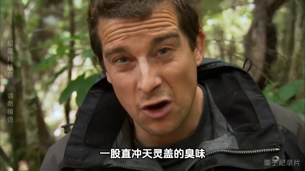 荒野求生去山里寻找食物,荒野求生逃离婆罗洲丛林