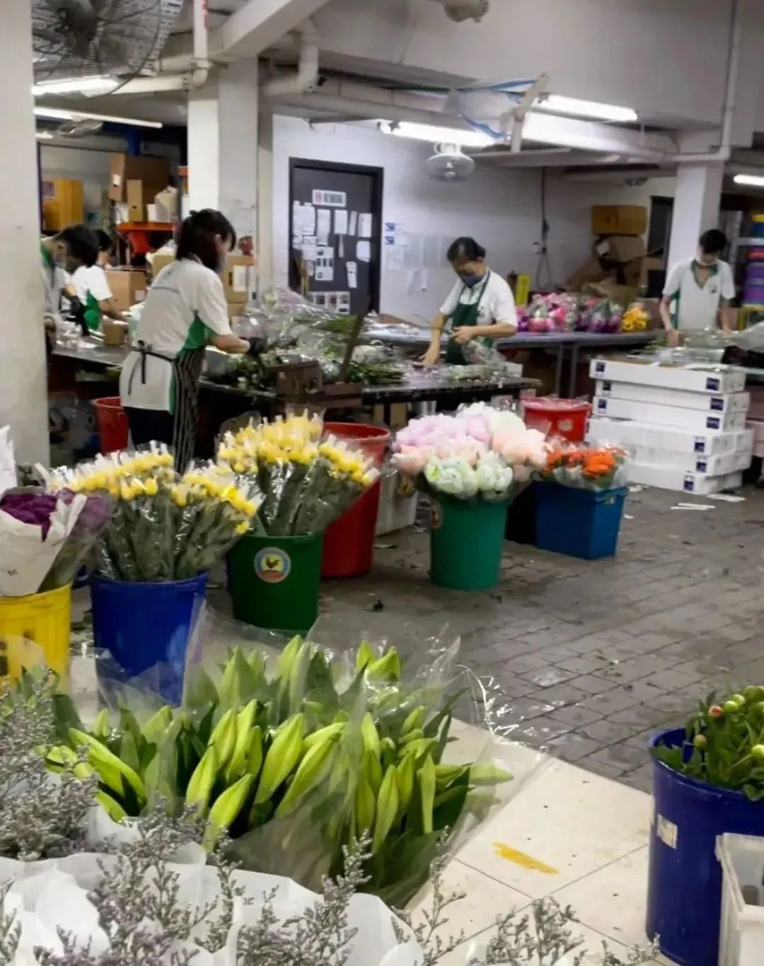 鲜花在水里能养几天会死,新加坡盆栽花卉怎么养