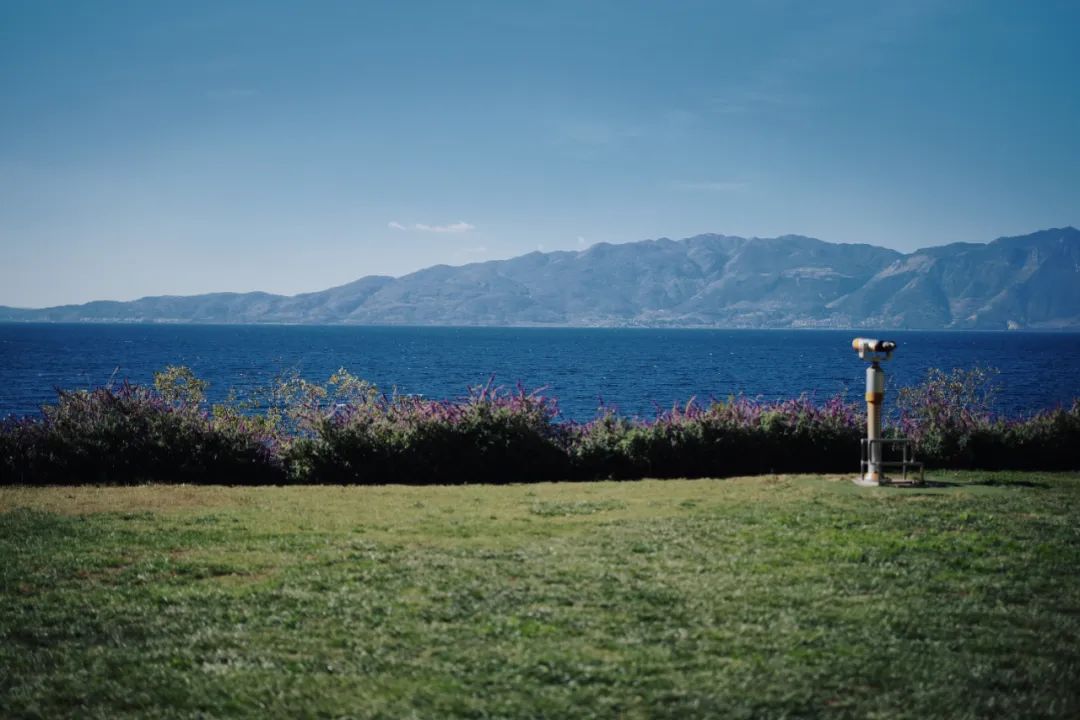 旅游团建现在好做吗,五月份公司团建旅游