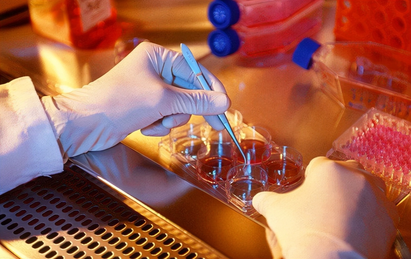 卡格列净会引起低血糖吗,卡格列净降血糖最好的药