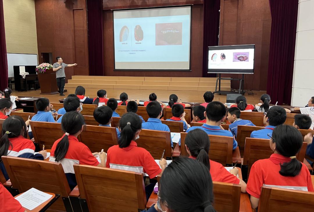 集美再修地铁4号线,集美新品