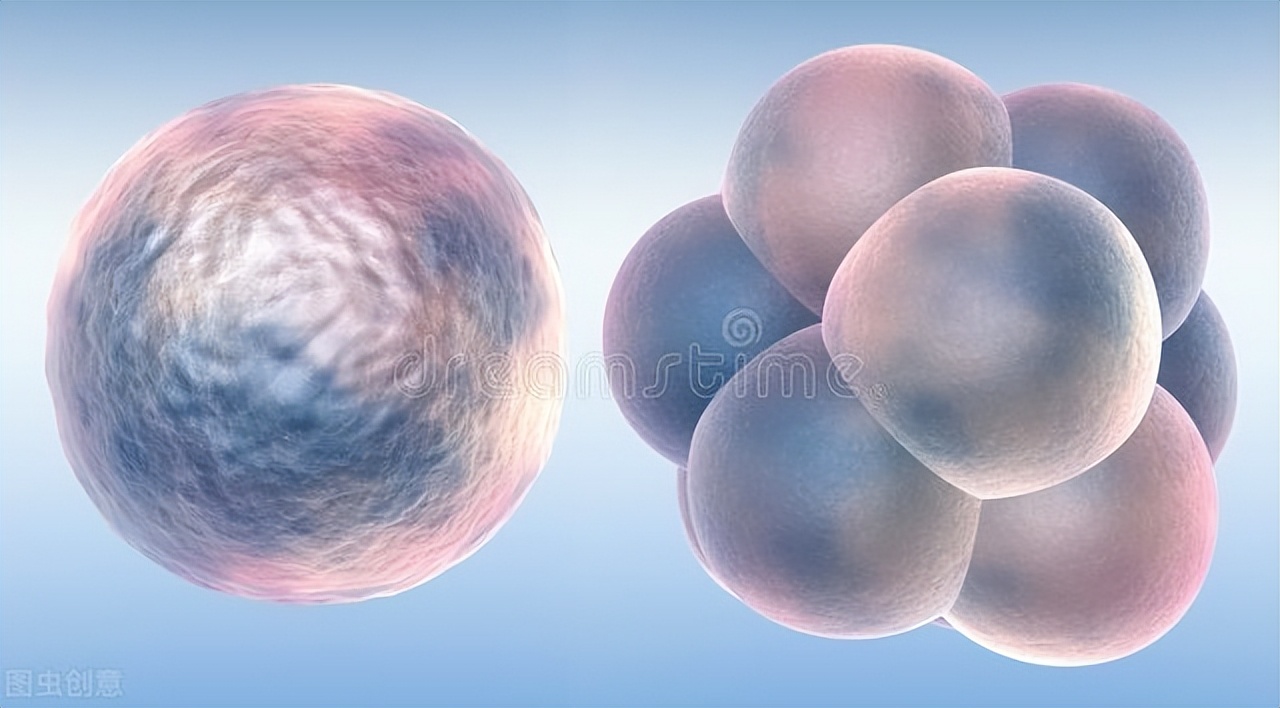 备孕前做针灸调理，真的可以提高成功率