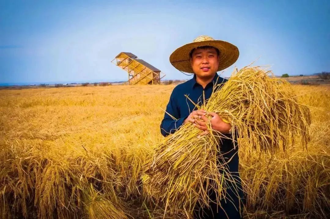 乡村振兴36个案例,中国乡村振兴的前景及产业化解读