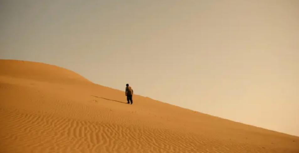 奥运冠军杨倩事件,奥运冠军杨倩个人信息