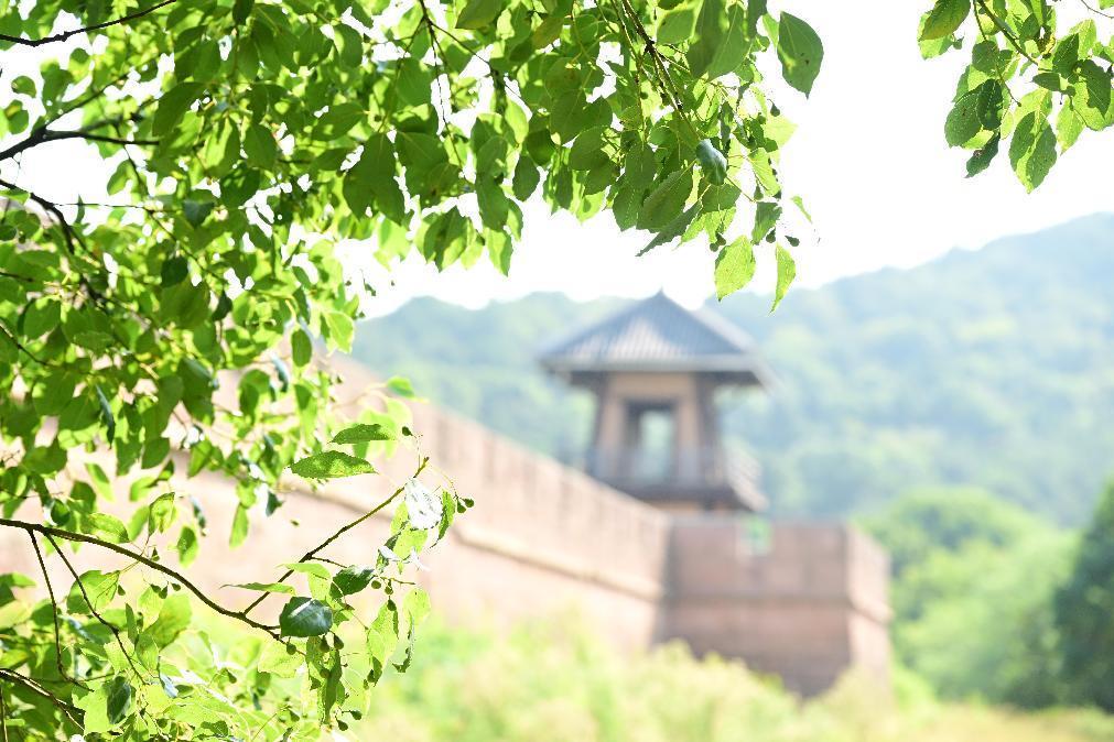 娌夐唹涓滈路闂插眳,榫欏北涔岀煶鍙ら亾寰掓