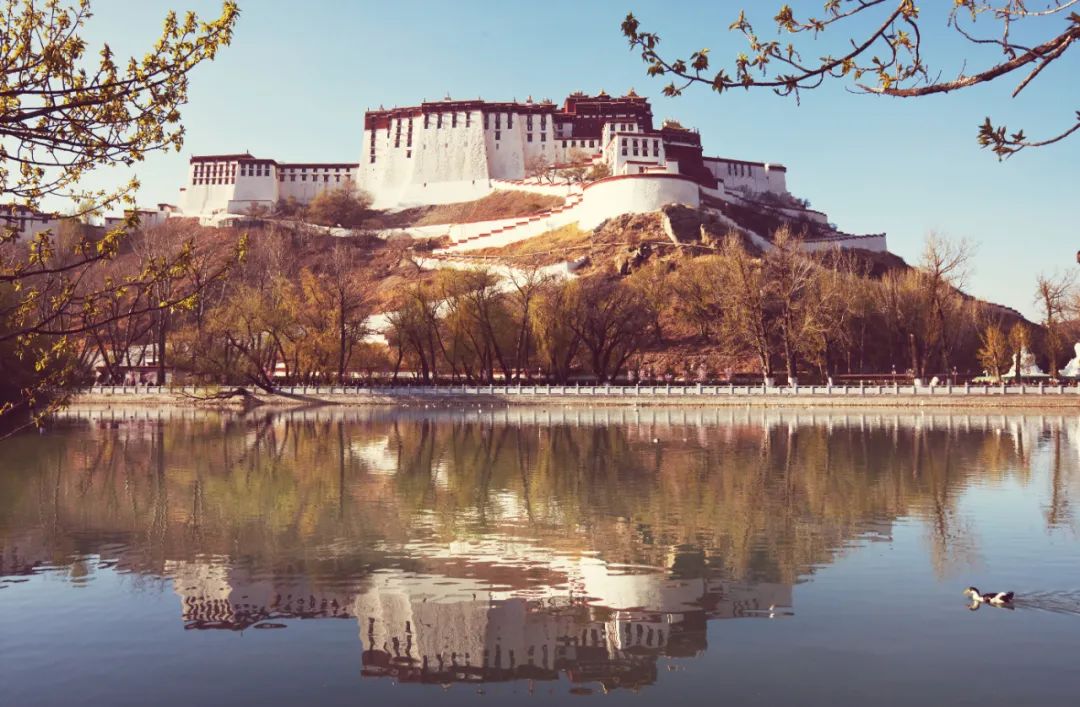 布达拉宫门票怎么网上预约,布达拉宫门票免票时间表