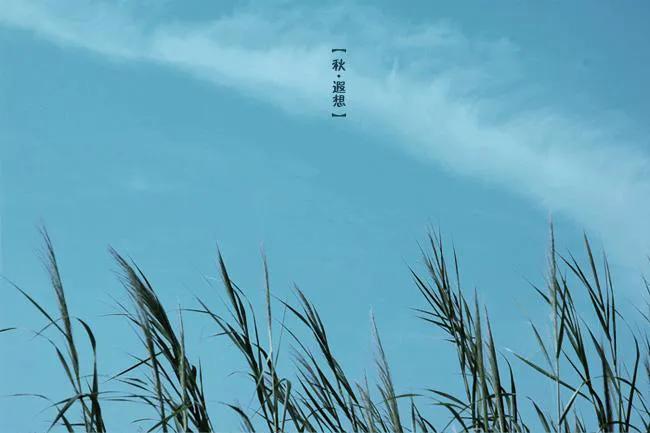 预期性焦虑,预期性焦虑症怎么克服