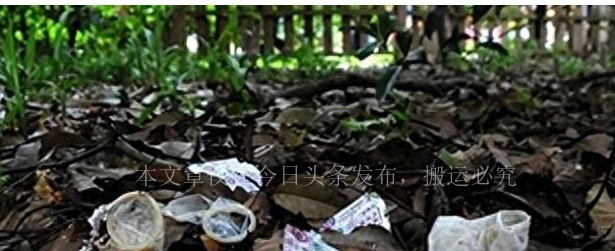 “就地办事，套套乱扔”，小树林成*战野**地…