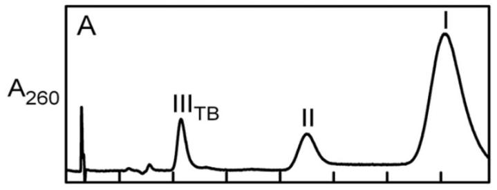 探究移动色氨酸是*霉素黄**抗生素合成黄素酶中内在电荷转移供体应用