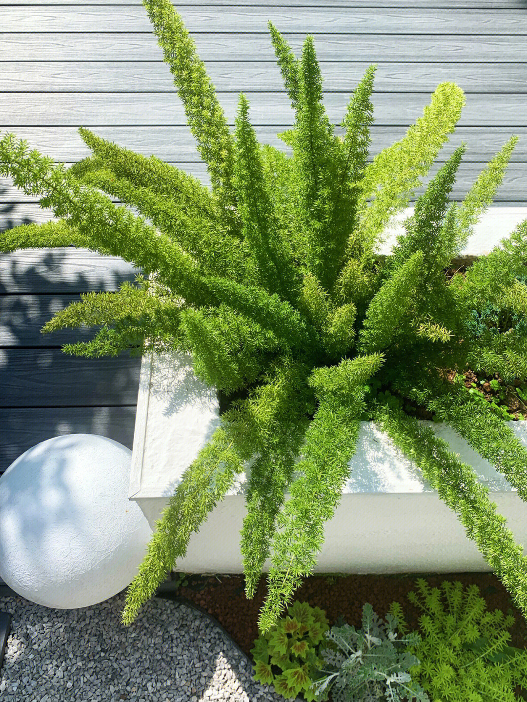 一楼小庭院改造效果图,花费6000元改造180平的农家小院