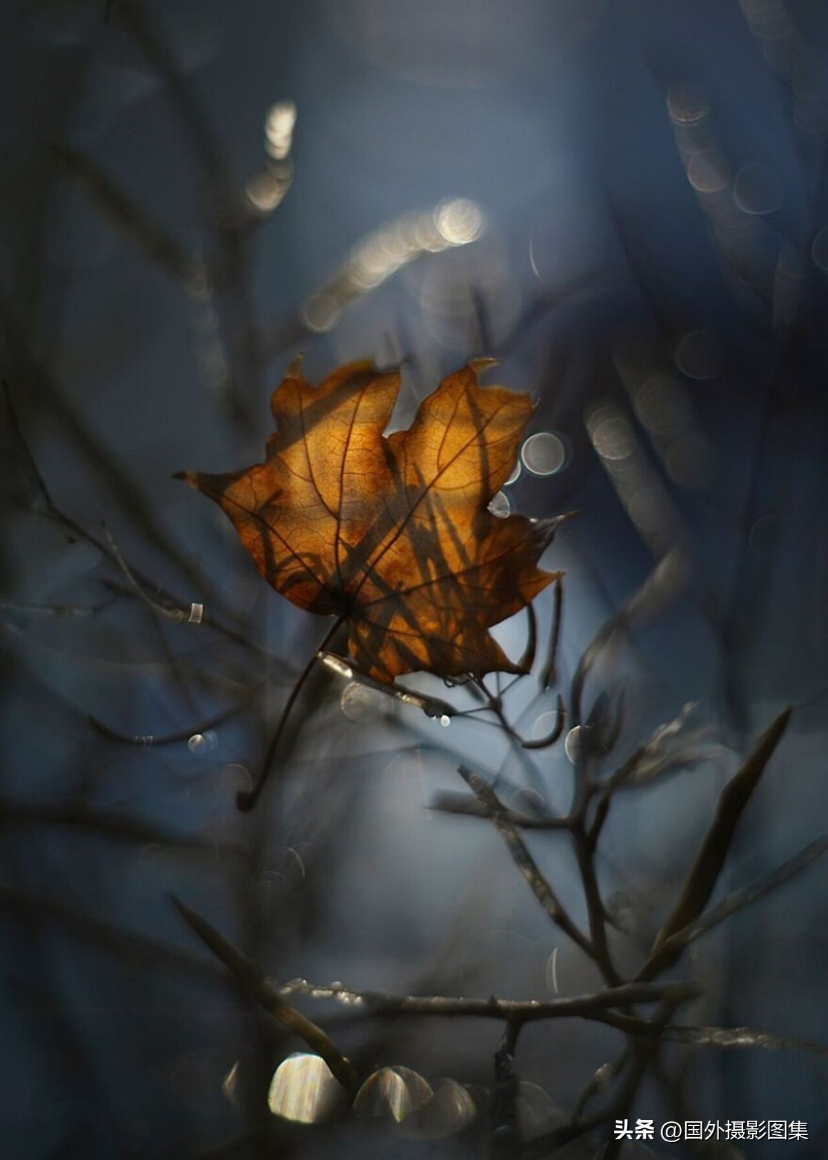 最美的景色秋天照片高清,夏天和秋天的绝美照片