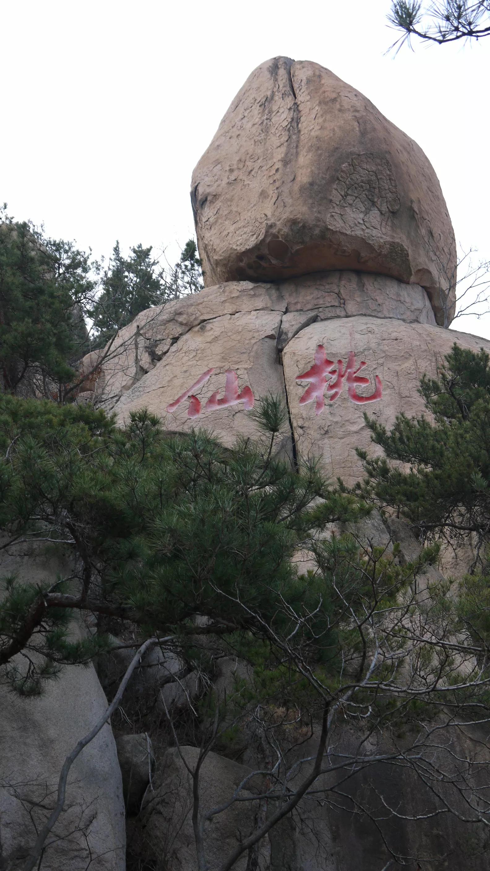 闈掑矝宕傚北浠板彛绱㈤亾,闈掑矝宕傚北浠板彛璧舵捣