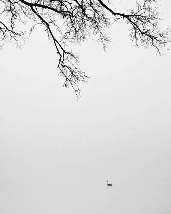 中国自古以来最好的十首诗词,中国水平最高的十首诗词