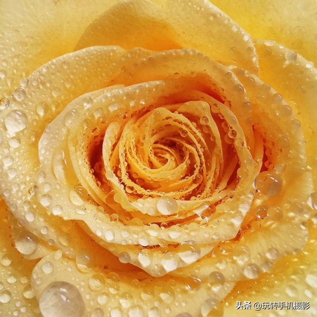 honor手机拍照怎样更清晰,什么设备可以让手机拍照更清晰