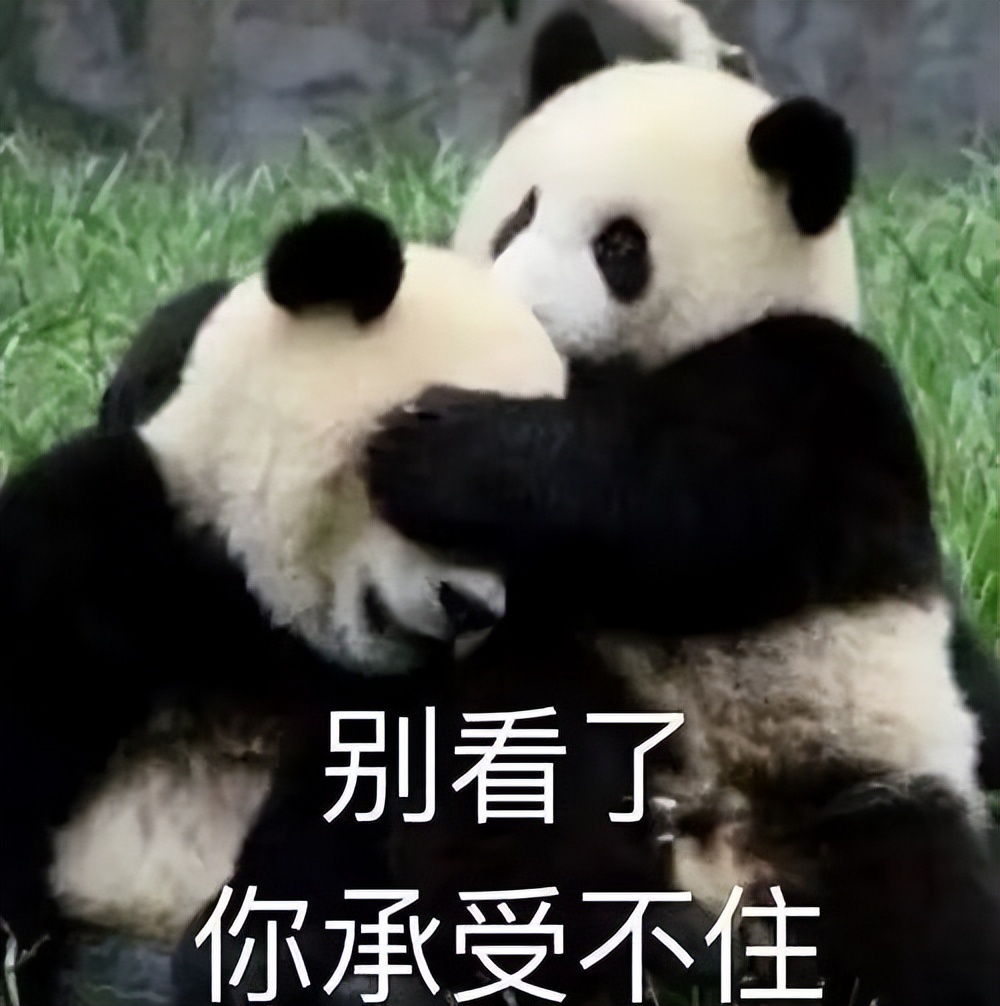 同剧组演员爆料张译,张译狂飙片酬引热议