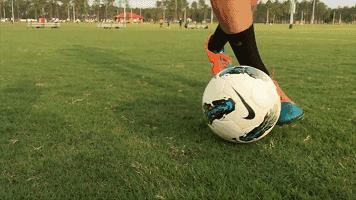 中老年人健康养生运动,中老年人养生有哪些好项目