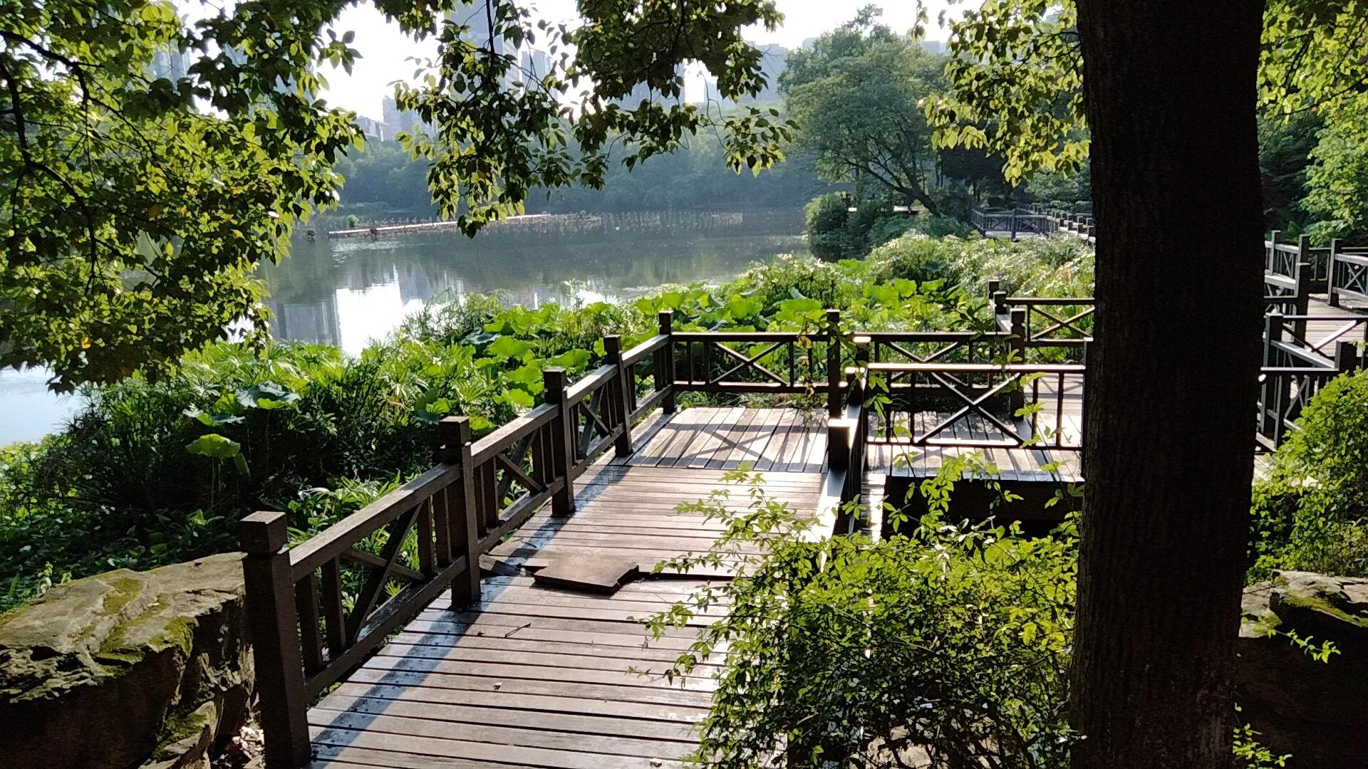 打卡平湖公园,平湖情侣值得去的地方