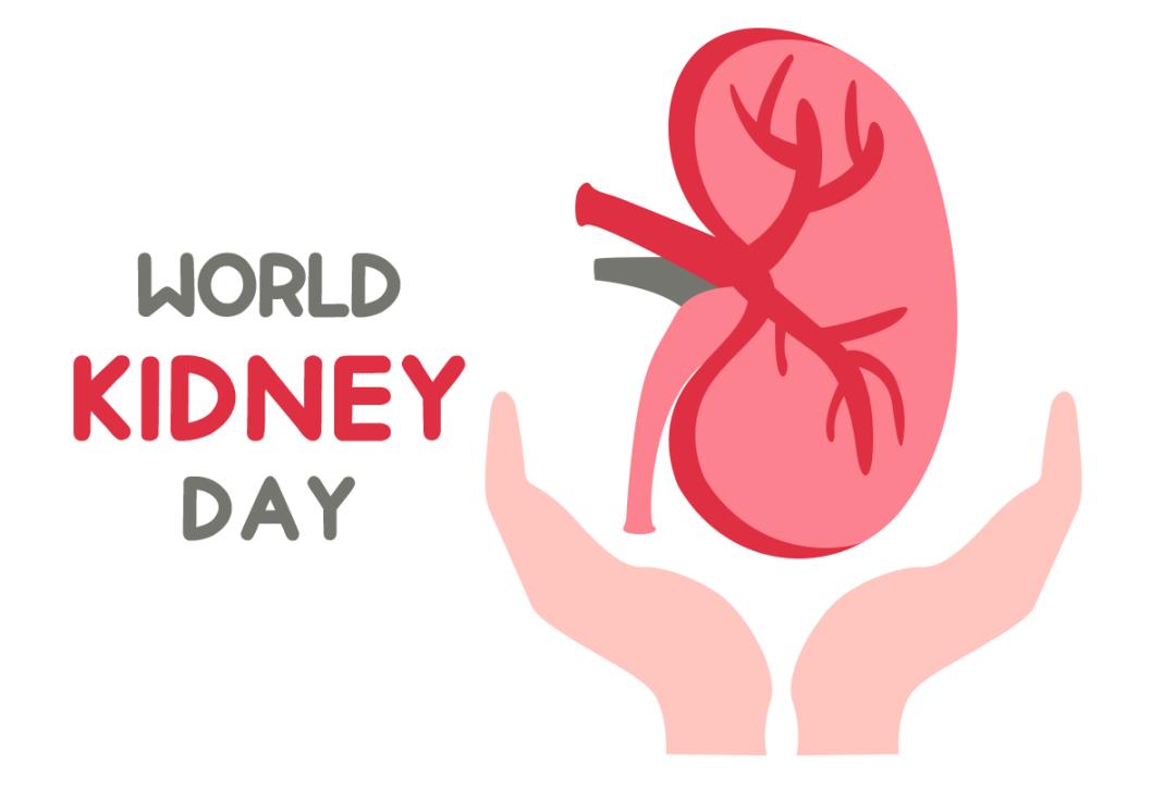 肾结石饮食有这些禁忌不得不看,肾结石需要注意的饮食习惯