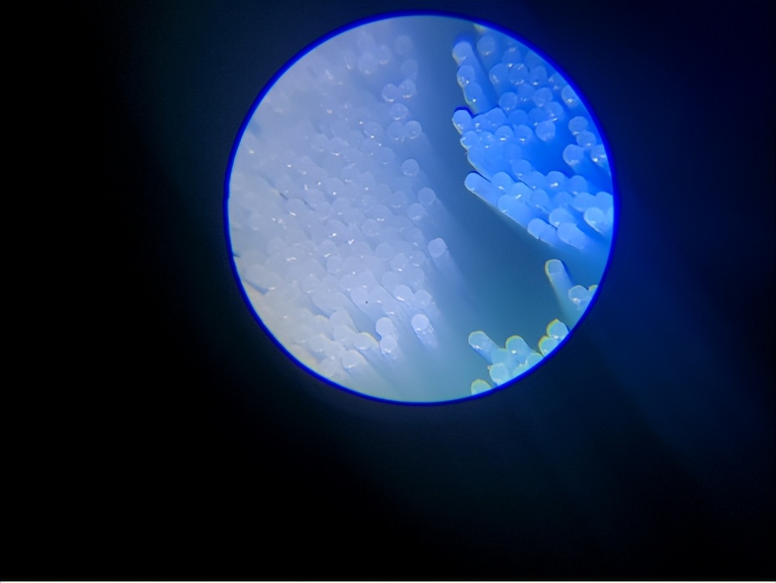 飞利浦usmile电动牙刷哪个更好,欧乐b和飞利浦扉乐电动牙刷评测