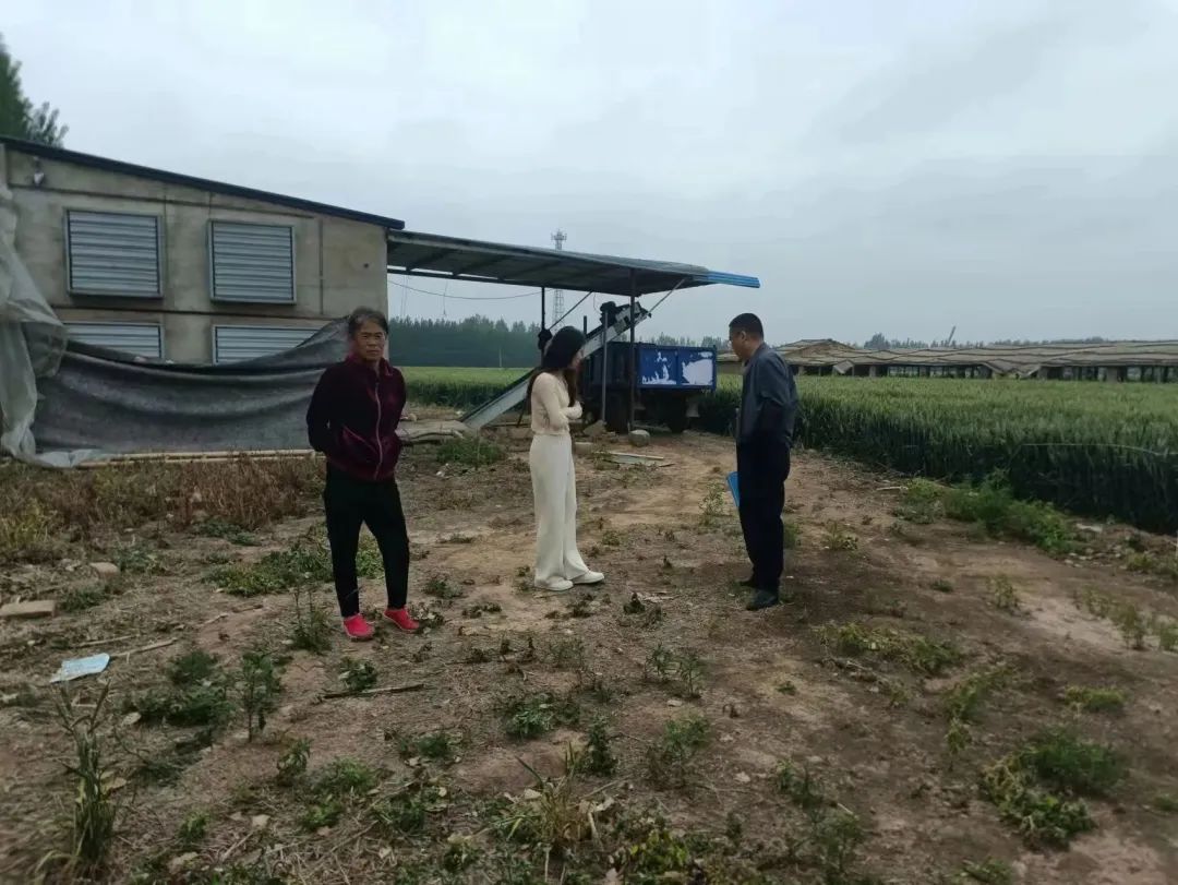 赵虎镇一周工作动态,德州赵虎镇5年计划