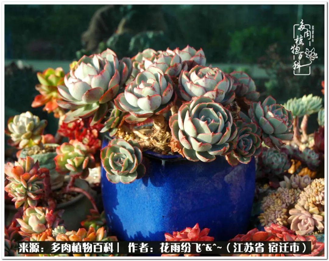 快乐的童年时光视频,回味快乐的童年美好的时光