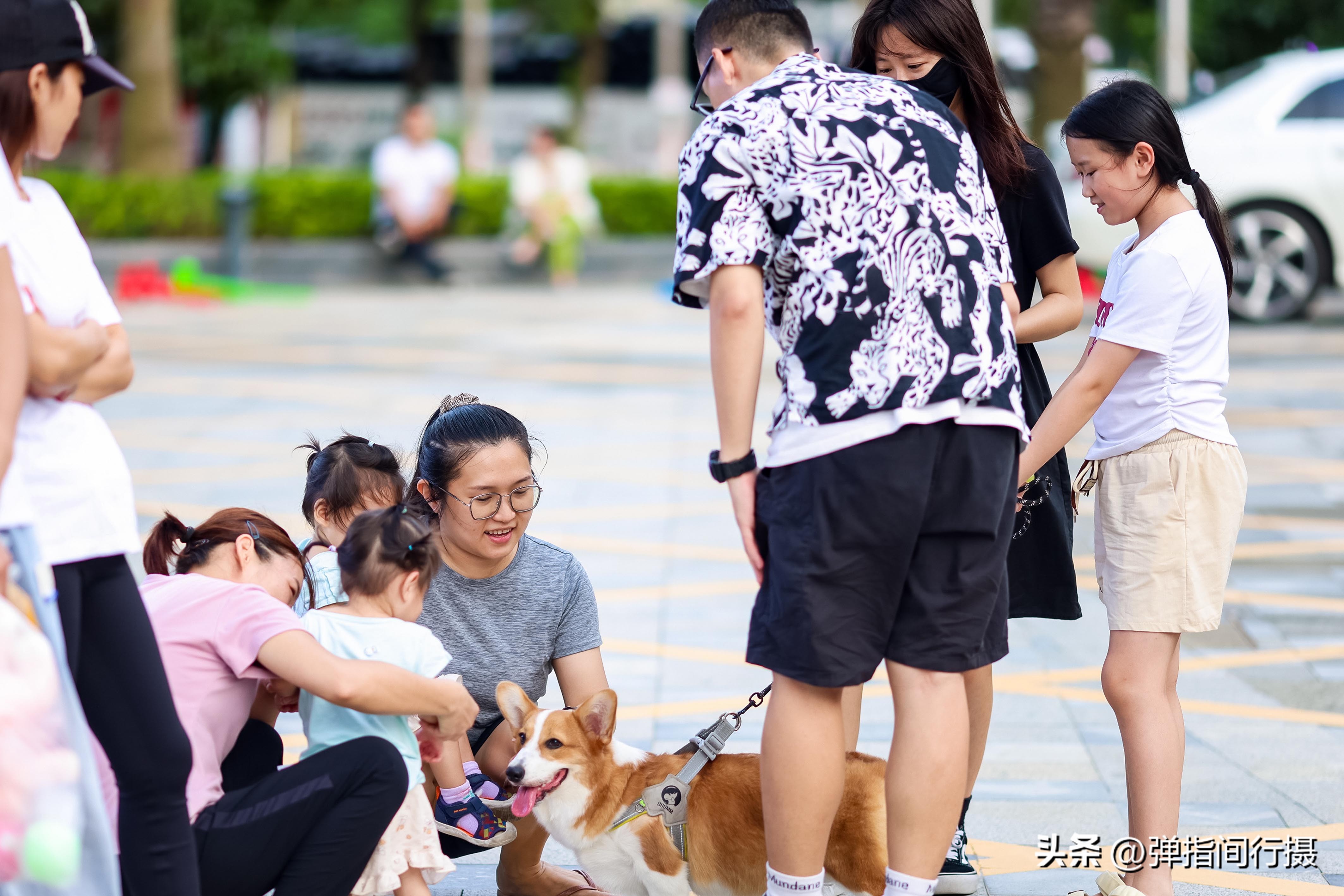 深圳机场希尔顿逸林酒店订房,北京希尔顿逸林旅游
