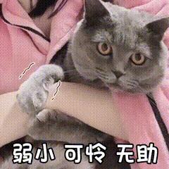 孕期记录32周小孕妇,31周的胎儿日常生活