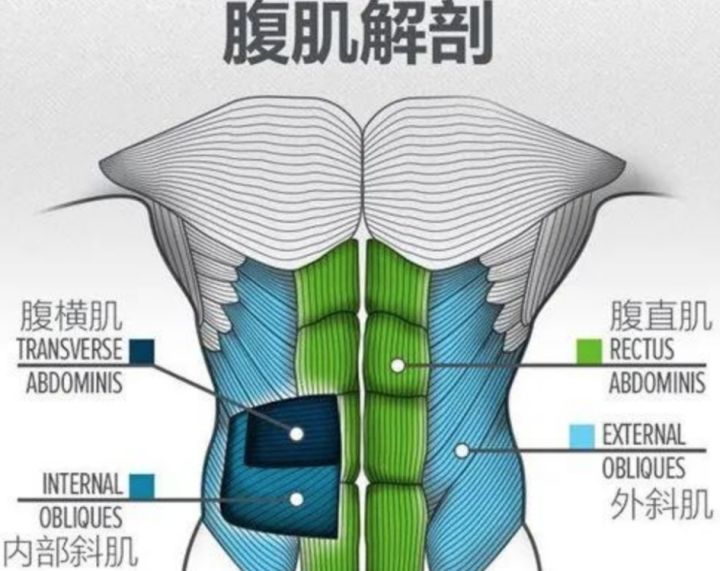体脂高腰腹脂肪多怎么减,腰腹脂肪怎么减更有效
