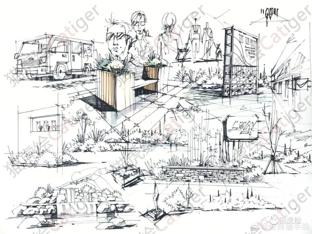 2022猫虎绘暑假手绘班招生简章「线上+线下」