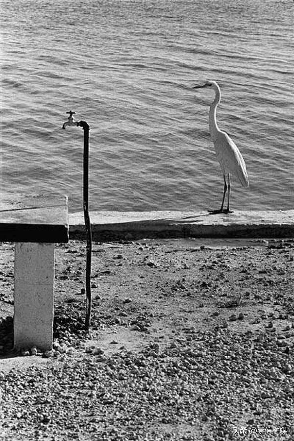 街拍摄影大师作品欣赏,摄影街拍大师作品