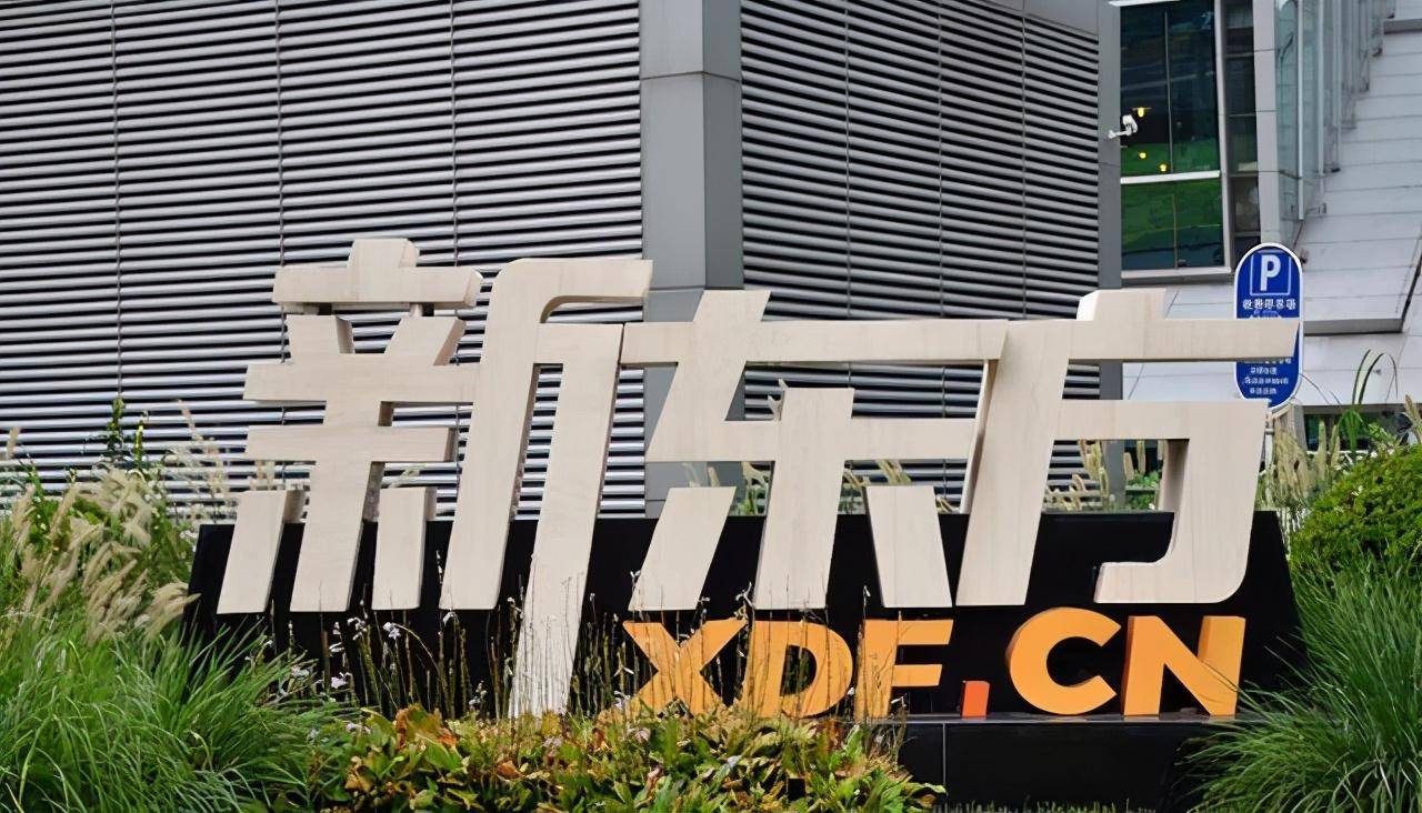 业务遭遇擦边球质疑,洪恩效仿网龙、新东方等出海寻找机会